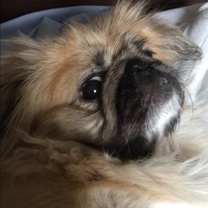 Meet your Posher, Diane